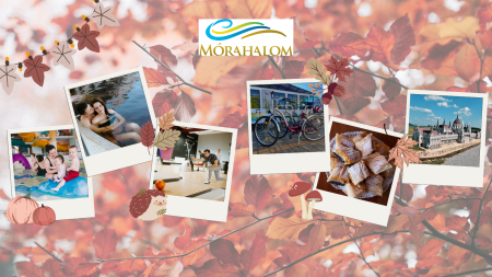 Mórahalom és Térsége Programajánló