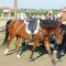 2454_dscn2428.jpg