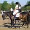 2458_dscn2435.jpg