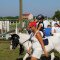 2459_dscn2434.jpg