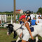 2459_dscn2434.jpg