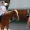 2471_dscn2555.jpg