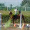 2472_dscn2471.jpg