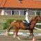 2473_dscn2468.jpg