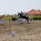 2487_dsc01973.jpg