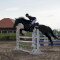 2489_dsc02306.jpg