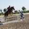 2495_dsc02071.jpg