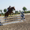 2495_dsc02071.jpg