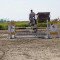 2500_dsc01982.jpg