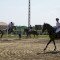 2519_dsc02042.jpg