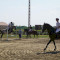 2519_dsc02042.jpg