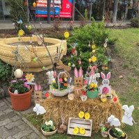 337662093_236118288791936_4591252372516414290_n