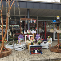 337726555_945119816506690_6215809765866454866_n