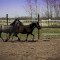 38_img_6493.jpg