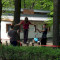 587_dsc03356.jpg