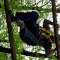 590_dsc03365.jpg