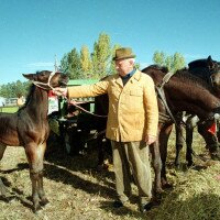 8835833mhvasar15gyk