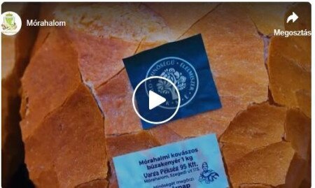 A minőség nem véletlen. Hanem döntés. Minden egyes nap.