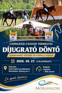 Csongrád-Csanád Vármegyei Díjugrató Döntő
