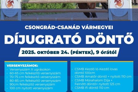 Díjugrató döntő