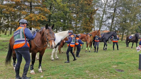 Eredményes évkezdés a mórahalmi polgárőrségnél – 6230 óra szolgálat négy hónap alatt