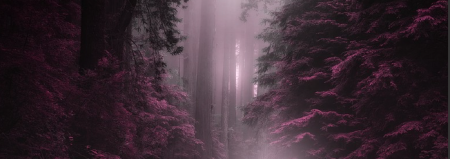 Értékeink nyomában 7.: Kalandos nyomozás, Sissi királynő túra