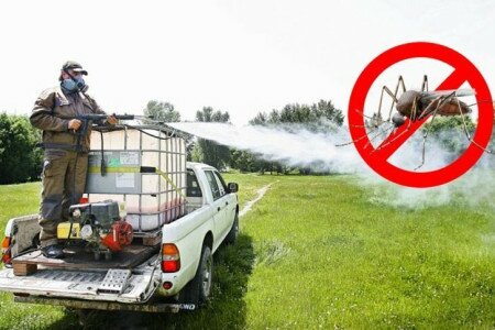 Értesítő földi szúnyoggyérítésről: Mórahalom