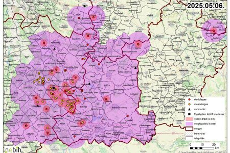 Feloldották Mórahalmot a madárinfluenza védőkörzet alól