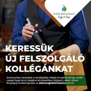 Felszolgáló