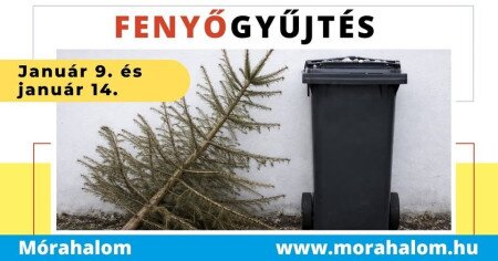 Fenyőjárat Mórahalmon és 2026. évi hulladéknaptár