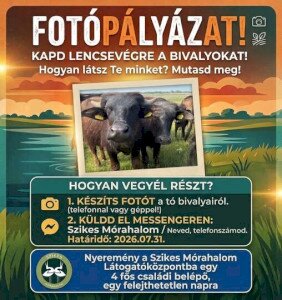Fotópályázat – Kapd lencsevégre a bivalyokat!