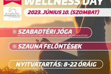 GLOBAL WELLNESS DAY a fürdőben!