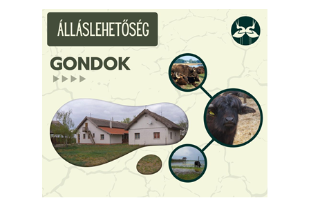 Gondnok álláslehetőség