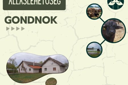 Gondnok álláslehetőség Mórahalmon