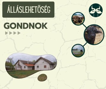 Gondnok álláslehetőség Mórahalmon