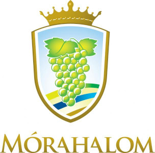 Helyi Esélyegyenlőségi Program Mórahalom 2022-2027
