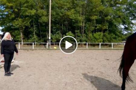 Ifjú huszár program indult Mórahalmon