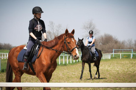 Lovaglás és Lovagoltatási árak