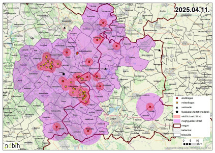 Madárinluenza miatt megfigyelési körzet elrendelése