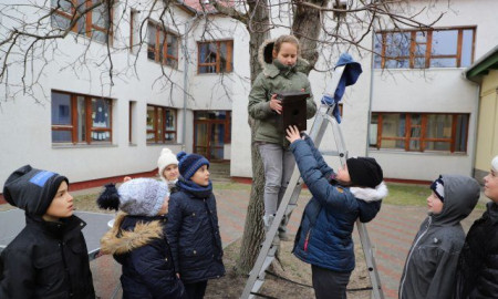 Madárvédelem a Mórahalmi Móra Ferenc Általános Iskolában