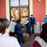 Mórahalom ünnepi díszben (2025)!