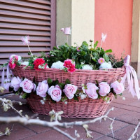 Mórahalom ünnepi díszben (2025)!