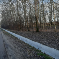 Nagyszabású csapadékvíz-kezelési projekt valósult meg Mórahalmon