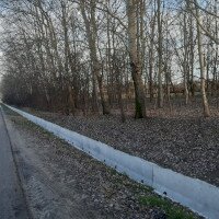 Nagyszabású csapadékvíz-kezelési projekt valósult meg Mórahalmon