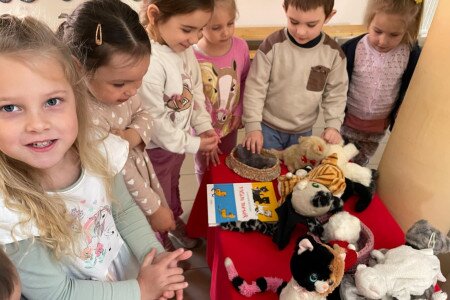 Nyári csökkentett ügyeleti működés