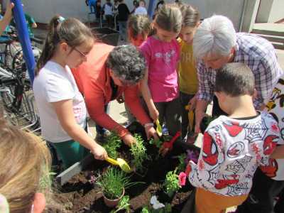 Összefogott az általános iskola környezetünk zöldítéséért