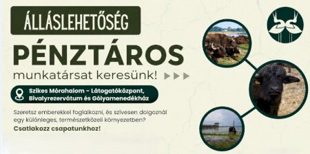 Pénztáros