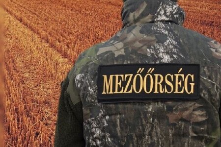 Rendész/mezőőr