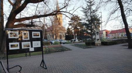 Szabadtéri fotókiállítás nyílt Mórahalmon