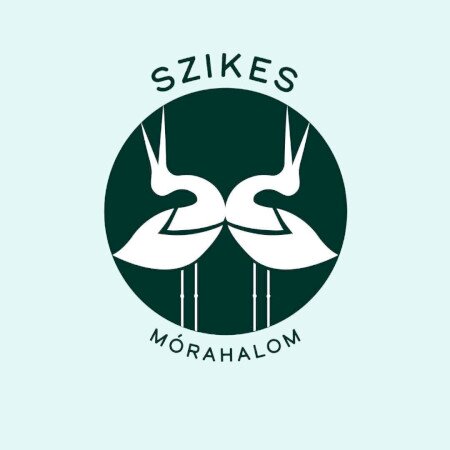 Éjszakai Zöld rejtély